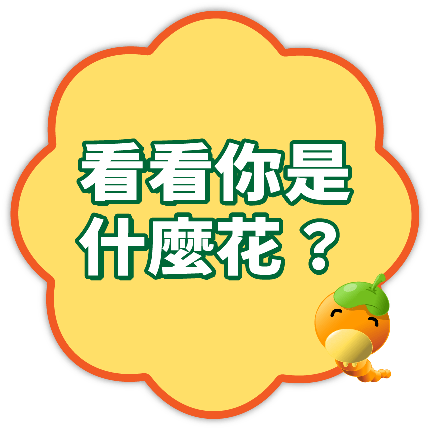 看看你是什麼花