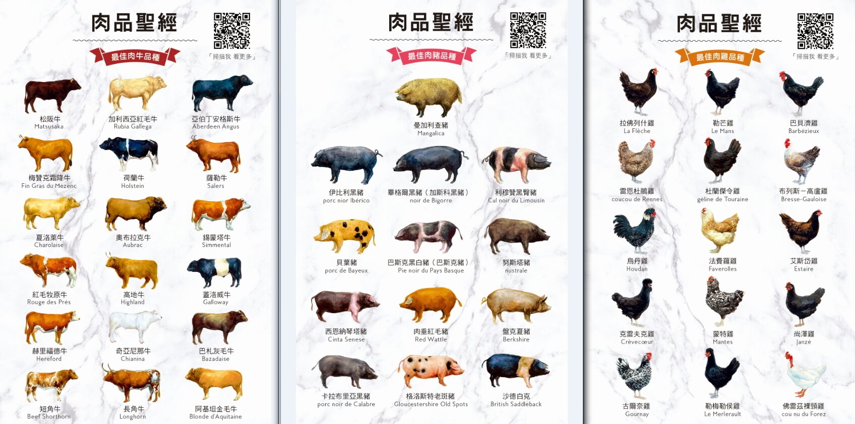 肉品聖經_牛豬雞品種卡3入組