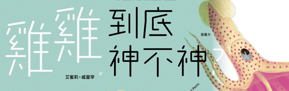 雞雞到底神不神