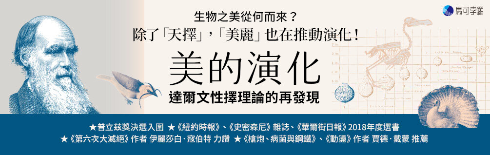 美的演化